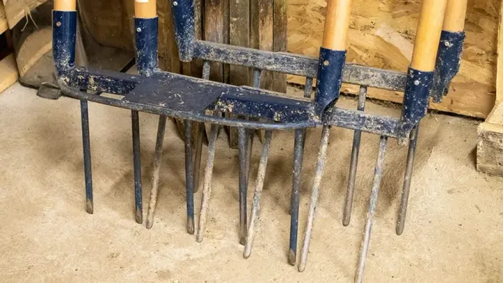 Jardiner en utilisant une grelinette 5 dents en permaculture.